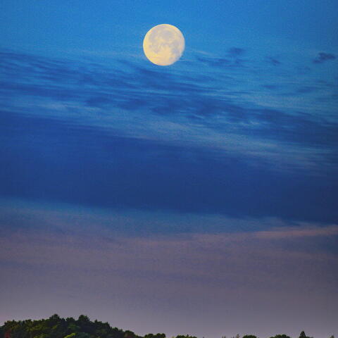 月の入り（月齢17）