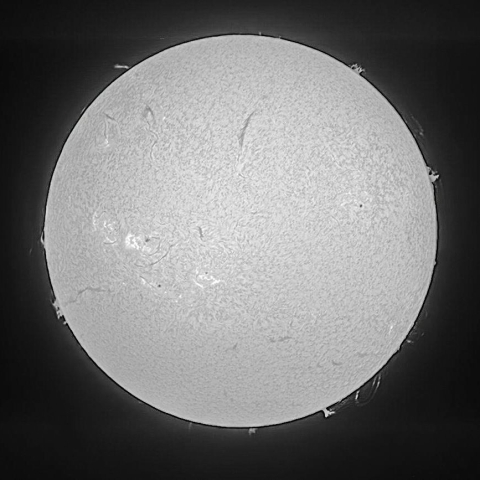 太陽面（6月11日）
