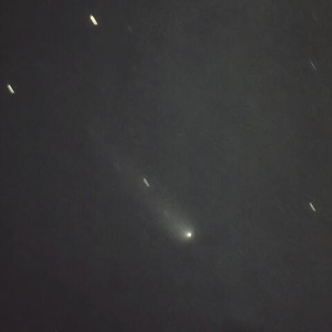 市街地からの紫金山-アトラス彗星 (C/2023 A3) 