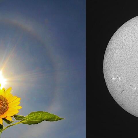 太陽面（7月7日）