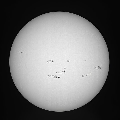 太陽黒点（7月29日）