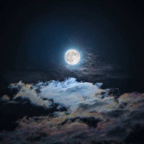 ハーベストムーン