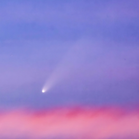 紫金山・アトラス彗星