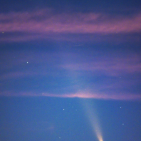 紫金山・アトラス彗星