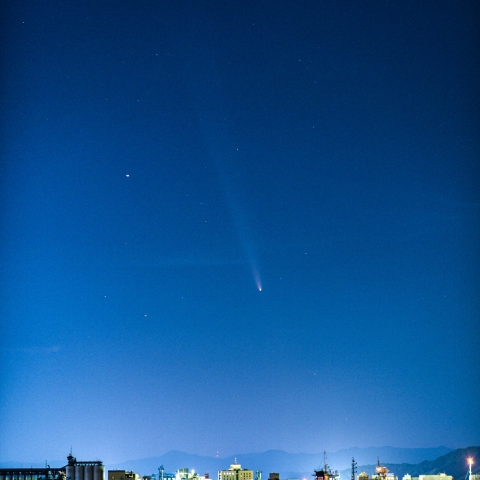 紫金山・アトラス彗星
