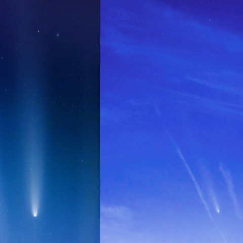 紫金山・アトラス彗星 とM5