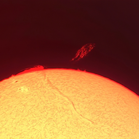 太陽面（11月19日）