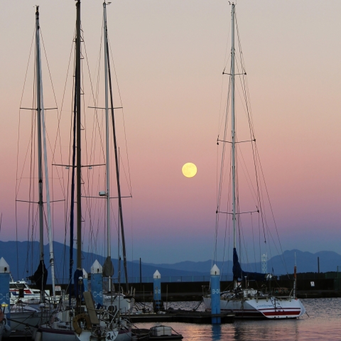 コールドムーン