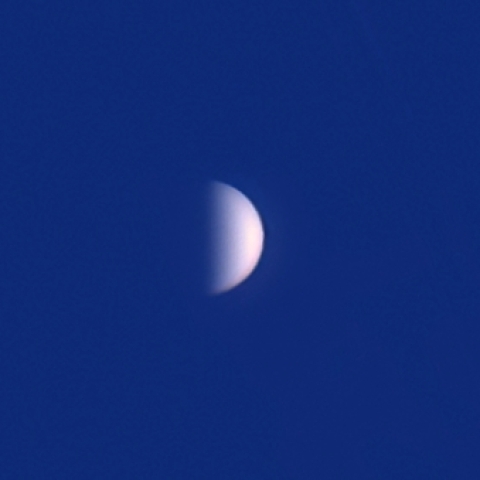 東方最大離角の金星