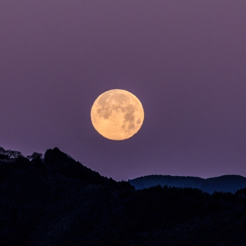 満月（ウルフムーン）