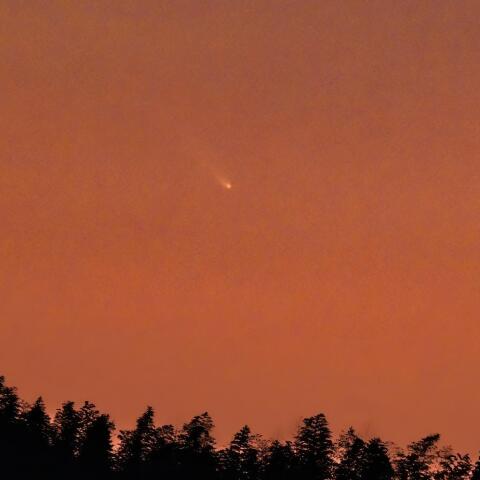 アトラス彗星 (C/2024 G3) 