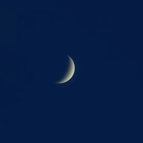 最大光度の金星