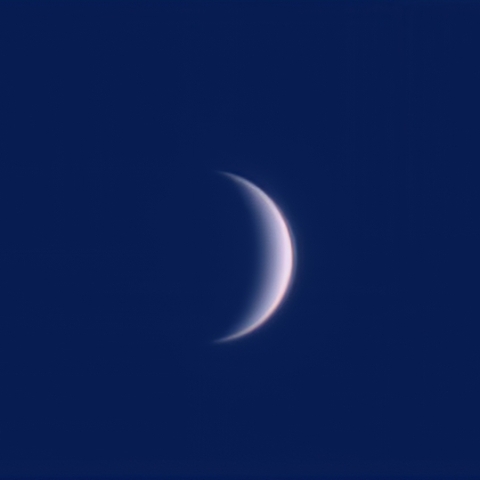 金星（2月21日）