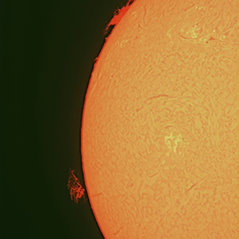 太陽面（2月26日）