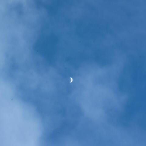 雲間の金星（低倍率での眼視イメージ）