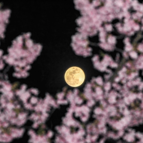 3月の満月（ワームムーン）