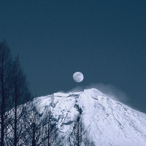 冬木立と月