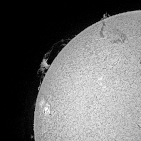 太陽面（6月19日）