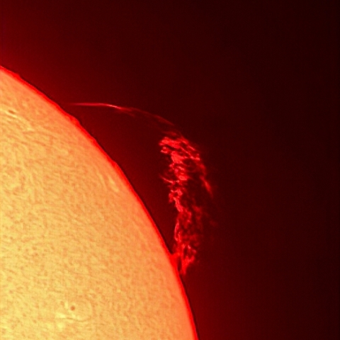 太陽面 プロミネンス（6月20日）