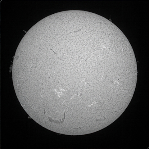 太陽面（7月28日）