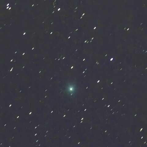 市街地からのLemmon彗星（C/2025 A6）