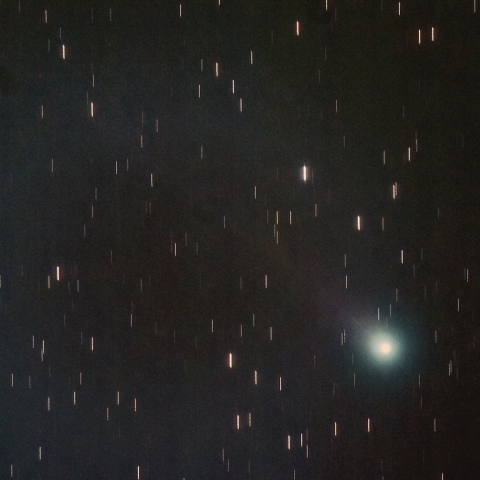 市街地からのレモン彗星（C/2025 A6）