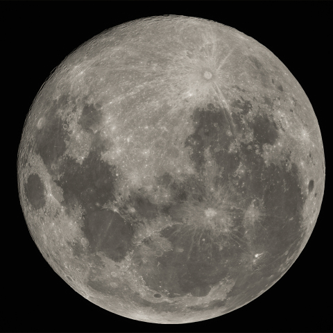 ハーベストムーン