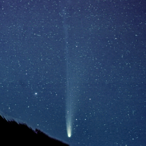 沈むレモン彗星