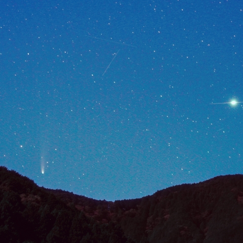 沈むレモン彗星とイリジウムフレア?