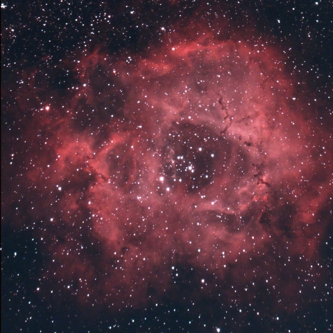 ばら星雲　NGC2244