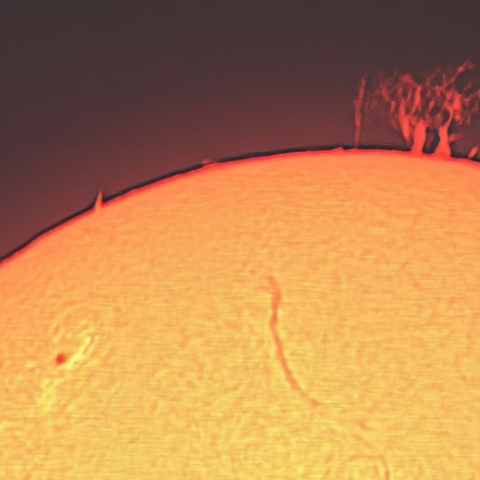 太陽面（２月１９日）