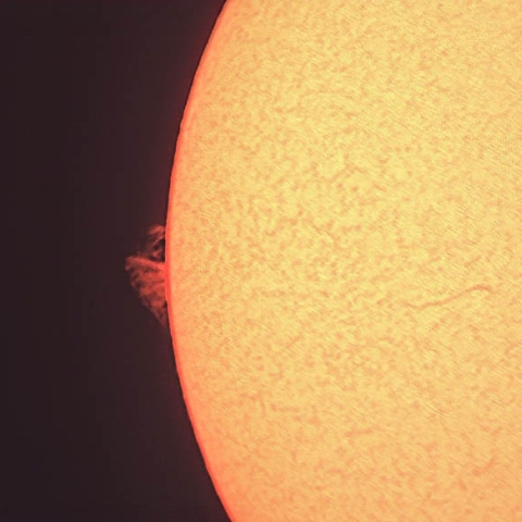 太陽面