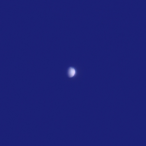 金星