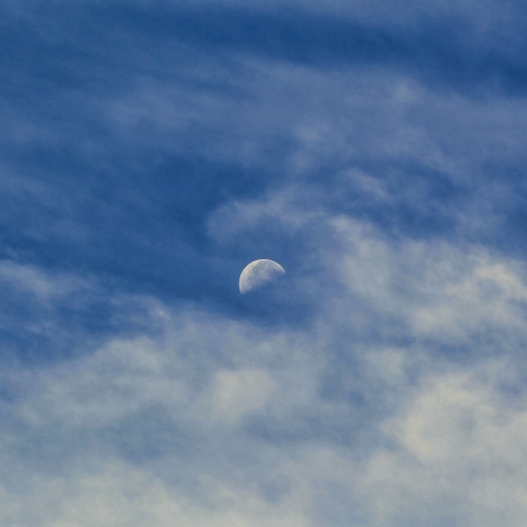 雲中の月（下弦）