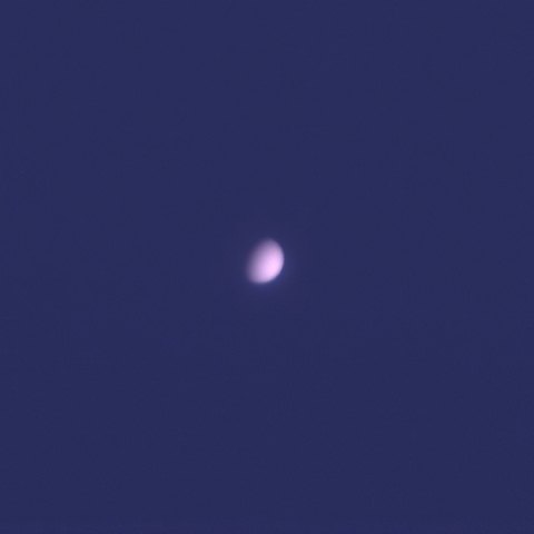金星