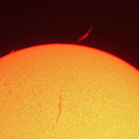 太陽面（8月7日）
