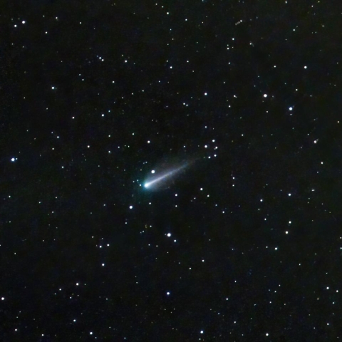 220P/McNaught