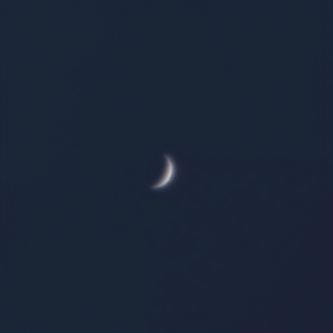 昼間の金星