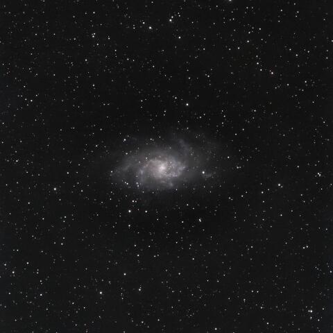 M33