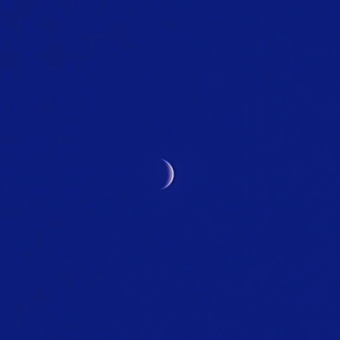 昼間の金星