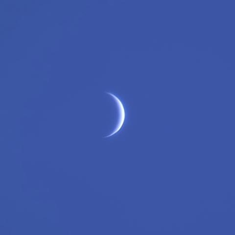 昼間の金星