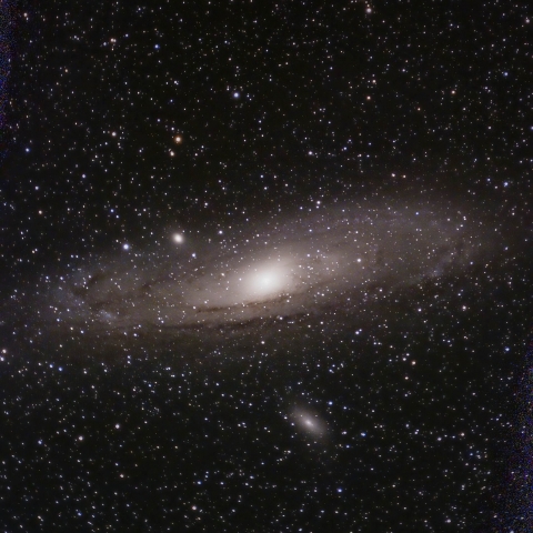 M31