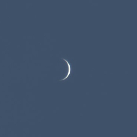 昼間の金星(10月8日)