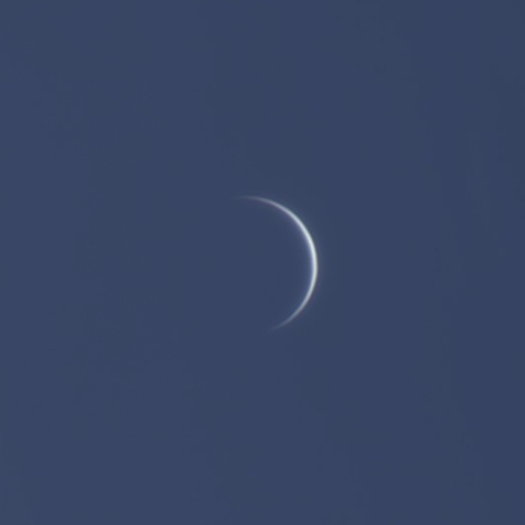 昼間の金星（10月13日）