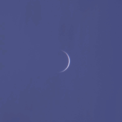 金星
