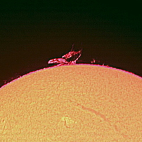 １月１６日の太陽