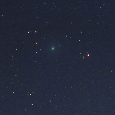 ウィルタネン彗星