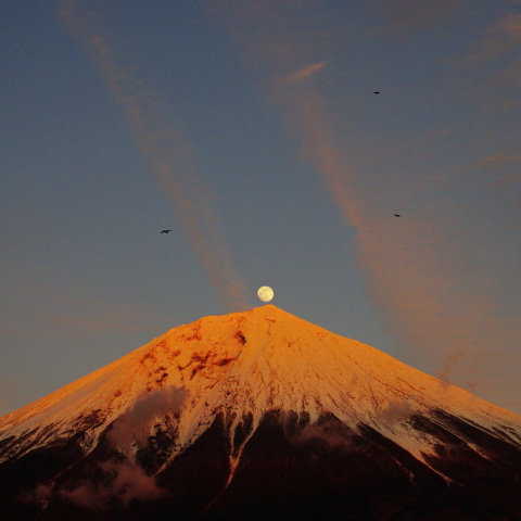 富士に昇る月