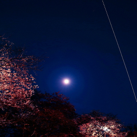 スーパームーンと桜、「きぼう」