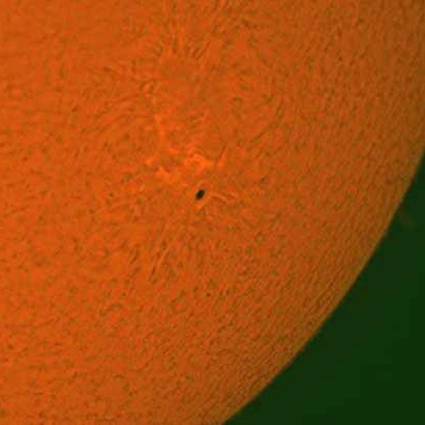 太陽黒点